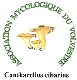 logo de l'Association mycologique du Volvestre