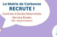 Mairie de Carbonne - Enquête publique : projet Garonne-Salat-Arize